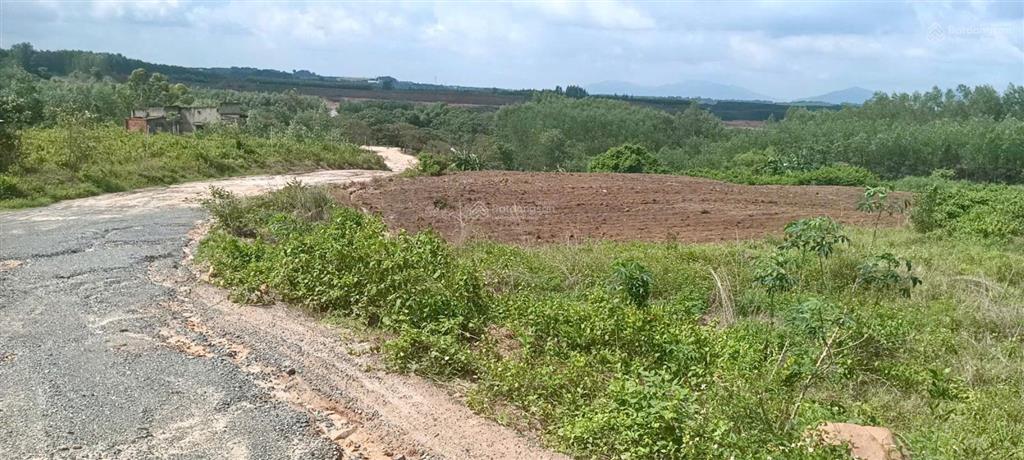 Bán đất đầu tư gần kcn bàu cạn  tân hiệp (long thành) sẵn 300m2 thổ cư mặt tiền đường rộng 8m