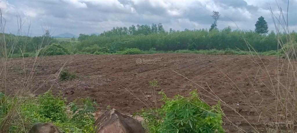 Bán đất đầu tư gần kcn bàu cạn  tân hiệp (long thành) sẵn 300m2 thổ cư mặt tiền đường rộng 8m