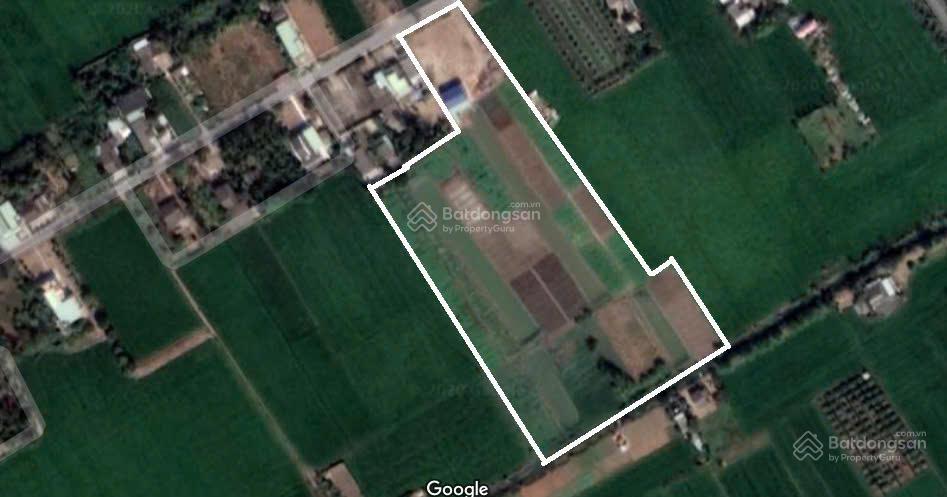 Cần tiền bán 16500m2 đất mặt tiền đường hl11 huyện gò công tây, tiền giang