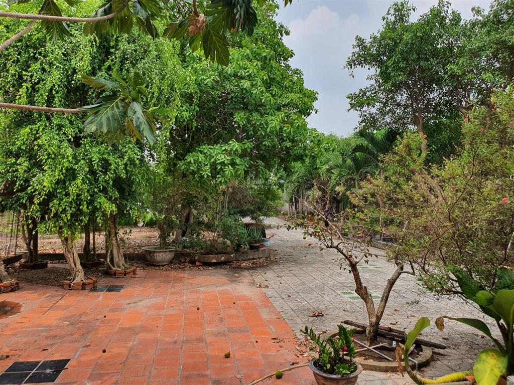 Bán 3000m2 đất thổ cư mặt tiền đường 792 xã an nhơn tây, củ chi tp hồ chí minh