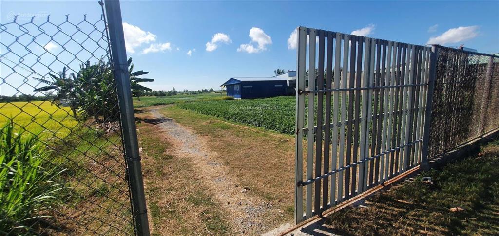 Bán 16.500m2 đất mặt tiền hl11, gò công tây, tiền giang