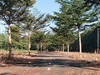 Cắt lỗ sâu 800 triệu  đất nền mặt tiền giá tốt  sổ riêng  thổ cư 100%  xây dựng ngay