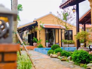 Tuyệt phẩm! villa view lúa siêu đẹp, sẵn hồ bơi và nội thất đang kinh doanh, hàng hiếm, giá đầu tư