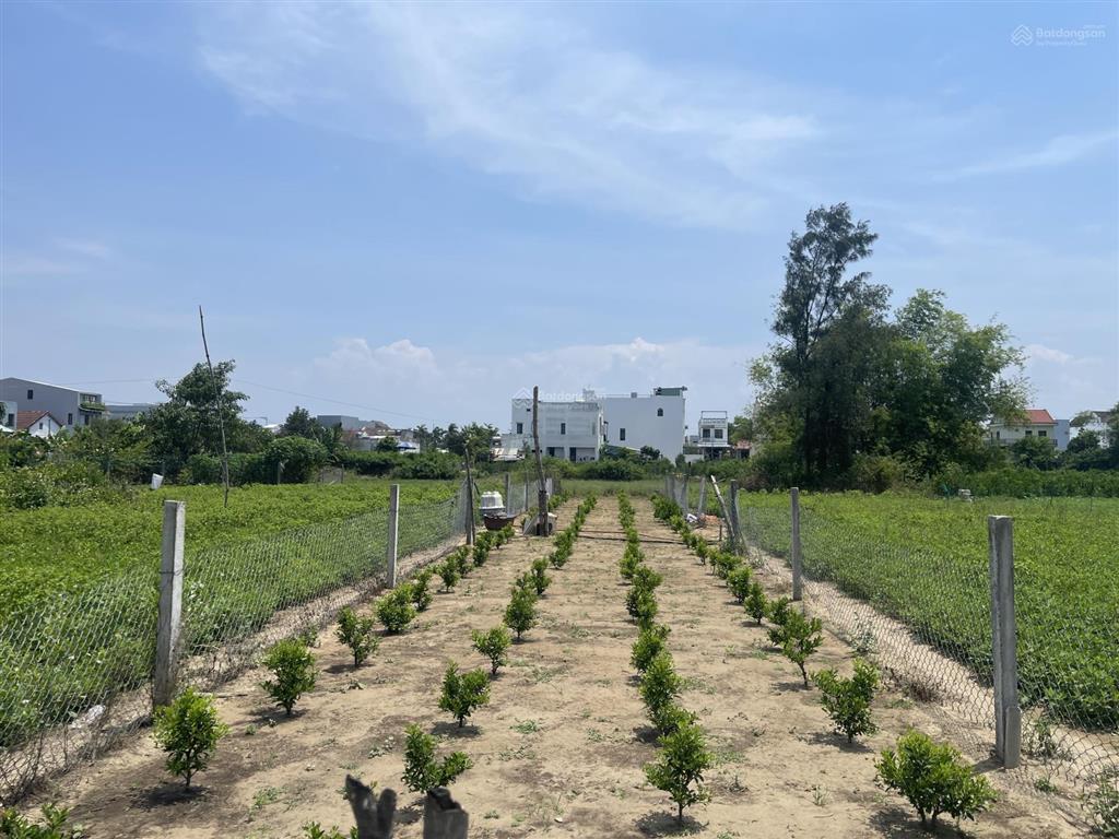 Siêu siêu rẻ, đất hội an 9,7 triệu/m2. gần trảng kèo, đầy đủ tiện ích, khu vực đông dân