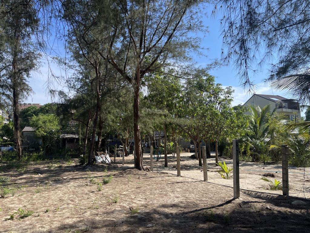 1224m2 đất biển an bàng  hội an, mặt tiền 25m sát bên biển không bị chắn view. khu vực đông khách!