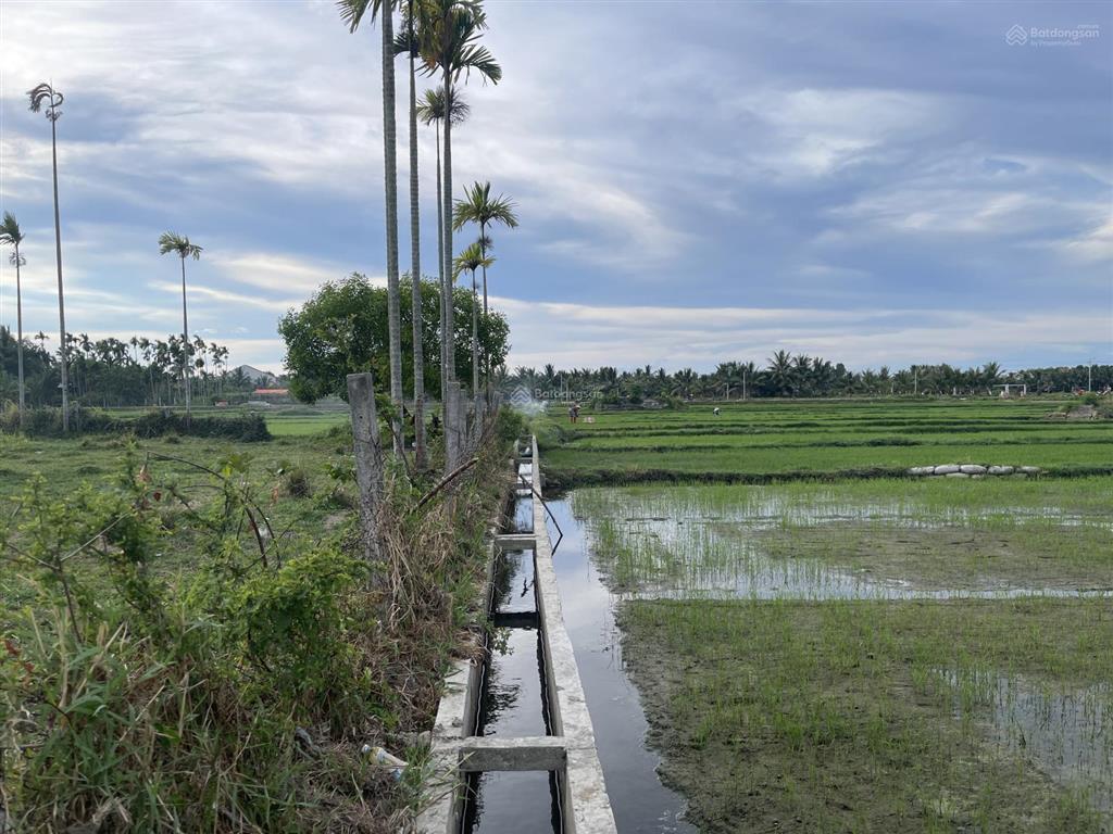 Hot! lô đất view lúa cẩm thanh giá tốt, mặt tiền rộng, thoáng. xây villa tuyệt đẹp