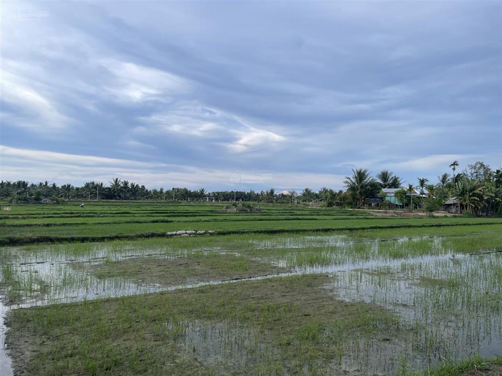 Hot! lô đất view lúa cẩm thanh giá tốt, mặt tiền rộng, thoáng. xây villa tuyệt đẹp