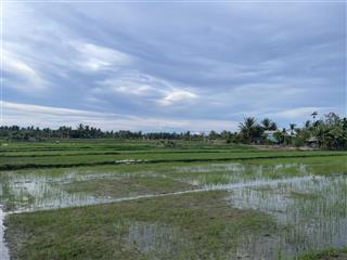 Hot hot!! lô đất view lúa cẩm thanh giá tốt, mặt tiền rộng, thoáng. xây villa tuyệt đẹp!