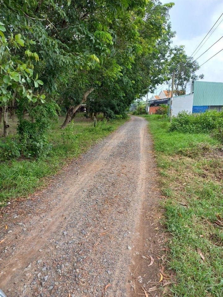 Bán đất 100m2, 5 triệu / m2 tại an phú 2, trảng bàng, tây ninh