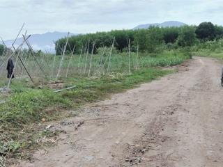 Bán đất cây lâu năm diên xuân, diên khánh chỉ 450 triệu