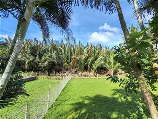 Bán lô đất view dừa  thanh nam, cẩm châu  hội an đông