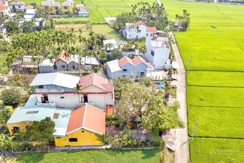 Bán lô đất view lúa cực đẹp hàng hiếm tại cẩm thanh, hội an
