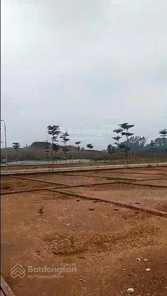 Bán nhanh lô đất rất tiềm năng ở tam nông, phú thọ