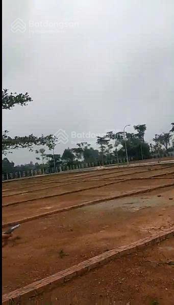 Bán nhanh lô đất rất tiềm năng ở tam nông, phú thọ