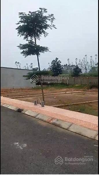 Bán nhanh lô đất rất tiềm năng ở tam nông, phú thọ