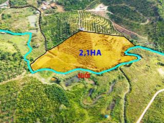 Rẫy giá rẻ tại trung tâm phường Đông Gia Nghĩa - Gần bệnh viện - View suối