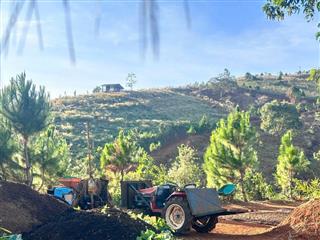 Rẫy view rừng thông đẹp giá rẻ tại Trường Xuân Đắk Song Lâm Đồng