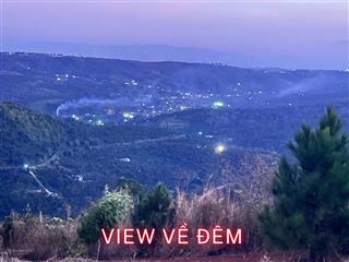 Rẫy view rừng thông đẹp giá rẻ tại trường xuân, đắk song, lâm đồng