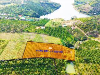 Rẫy trung tâm Gia Nghĩa sát farm EVA bằng tuyệt đối, có hồ, nghỉ dưỡng tuyệt vời