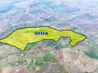 20ha giá chỉ 500tr/ha đất bằng như sân bóng, điện nước đầy đủ, oto vào tận nơi