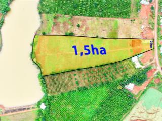 Bds đường nhựa sát hồ thủy lợi, khu dân cư đông, ven trung tâm