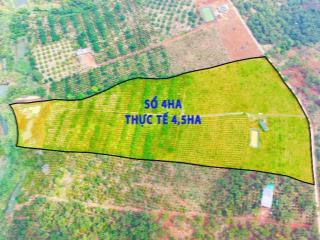 4,5ha cà phê thả đọt kín gió 200m bê tông gần xã Kiến Đức Đắk Nông