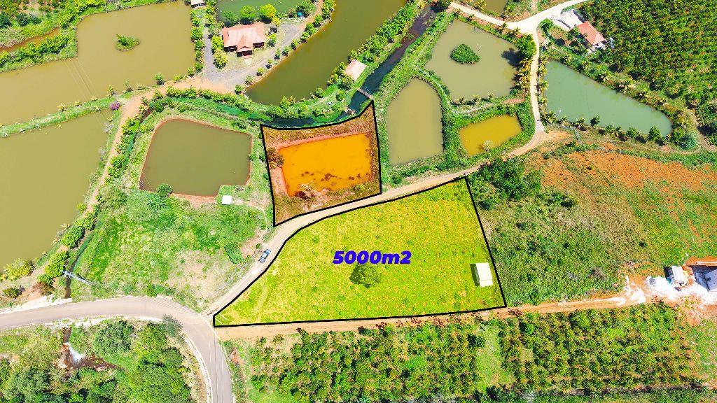 5 sào đường nhựa giá rẻ cực hiếm tại phường Bắc Gia Nghĩa