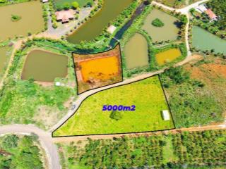 5 sào đường nhựa giá rẻ cực hiếm tại phường Bắc Gia Nghĩa