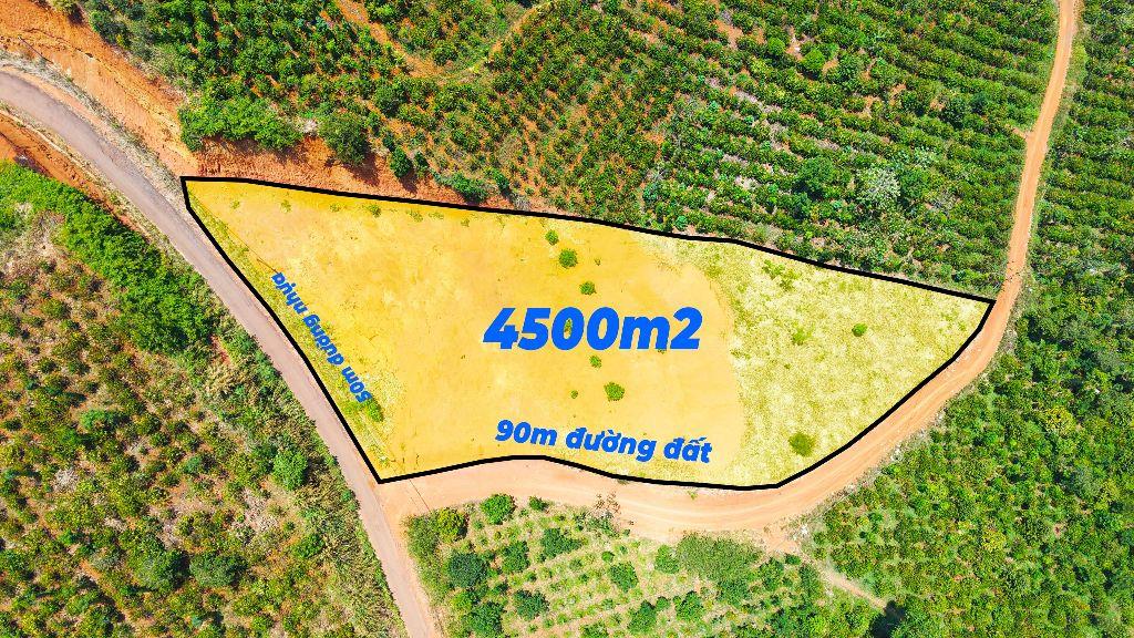 Đất phân lô mặt tiền đường nhựa giá rẻ tại phường Nam Gia Nghĩa