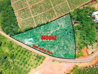 Đất phân lô mặt tiền đường nhựa giá rẻ tại phường Nam Gia Nghĩa