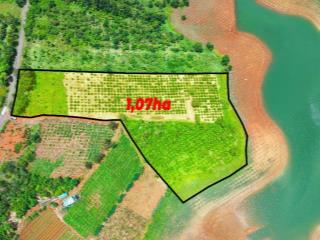 1ha đg nhựa View hồ thủy điện trung tâm Gia Nghĩa giá ngộp