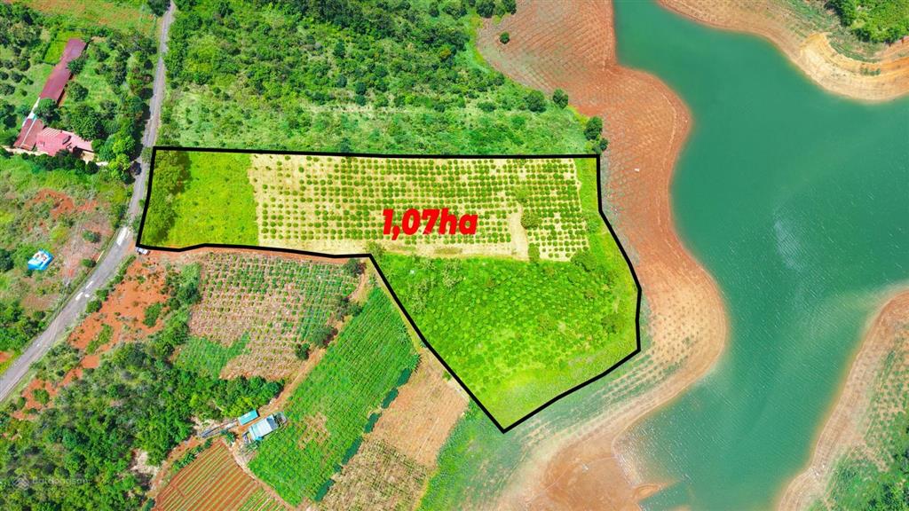 1ha đường nhựa view hồ thủy điện trung tâm gia nghĩa giá ngộp