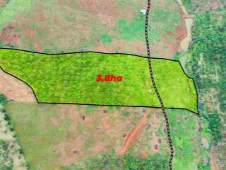 3,8ha giá chỉ 4 tỷ kín gió 100%, thế đất triền thoải, điện nước đầy đủ