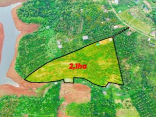 2,1ha view hồ giá rẻ tại phường Nam Gia Nghĩa tỉnh Đắk Nông