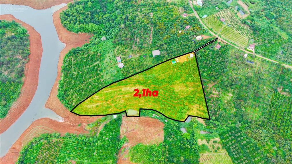 2,1ha view hồ giá rẻ tại phường nam gia nghĩa tỉnh đắk nông