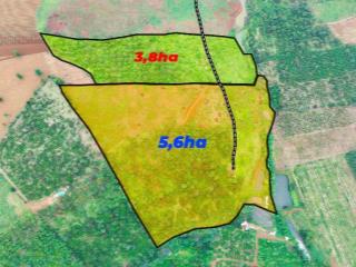 9,4ha đất rẫy kín gió, gần QL14 thuộc phường Nam Gia Nghĩa