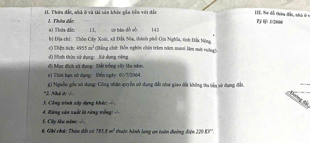 7 sào giá rẻ tại trung tâm Gia Nghĩa + 55 cây sầu riêng