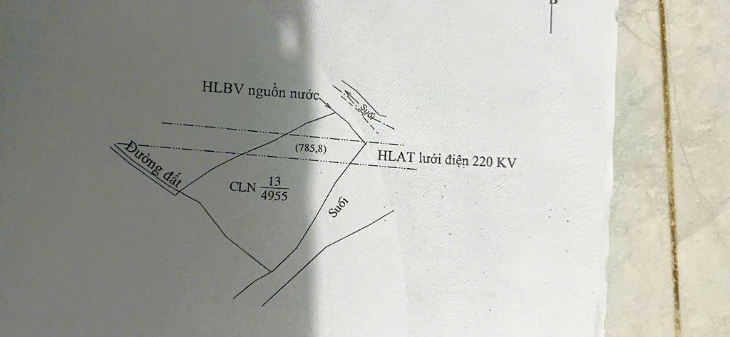 7 sào giá rẻ tại trung tâm Gia Nghĩa + 55 cây sầu riêng