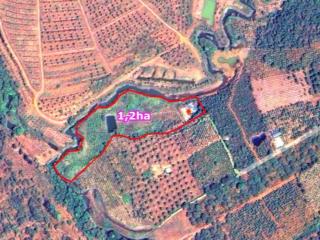 1,2ha view suối lớn, đất bằng, 90% bds là suối, có sẵn nhà, oto gầm thấp vào tận nơi
