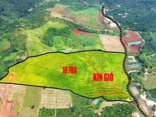 10,7ha bazan đất kín gió, điện nước đầy đủ tại Đắk Nông