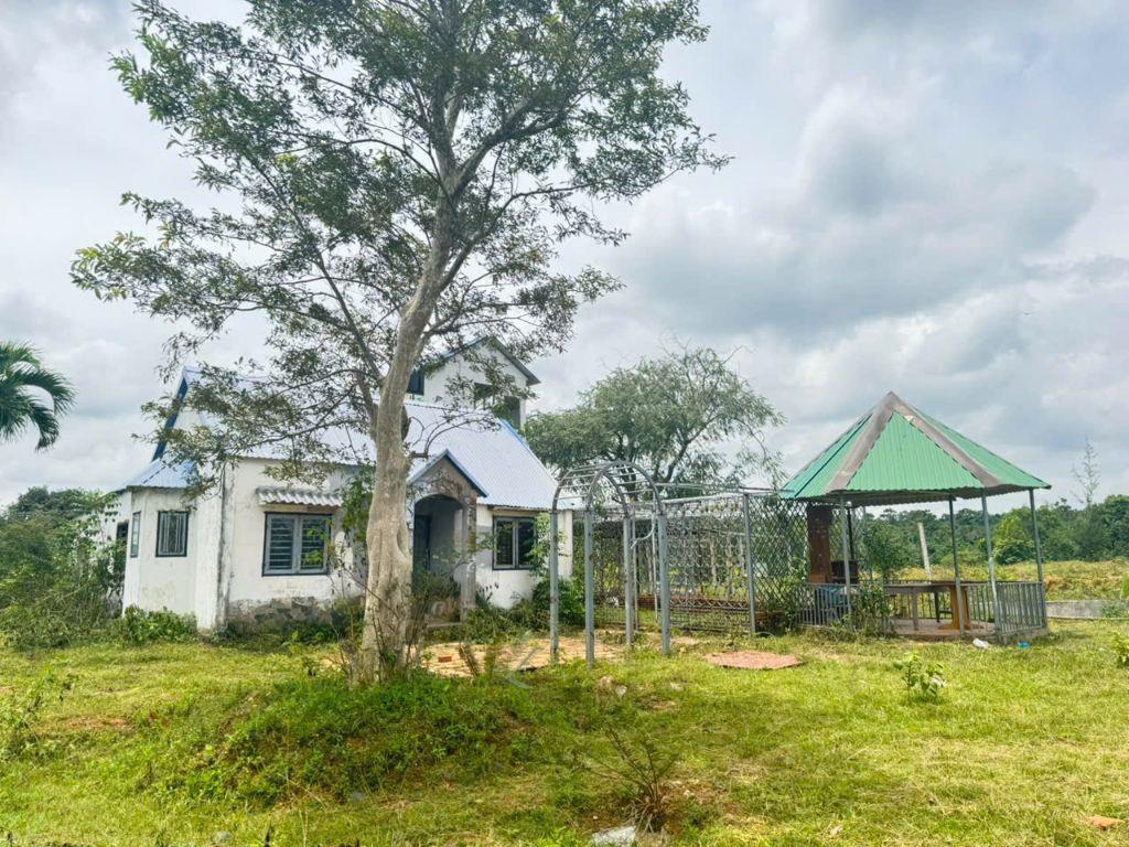 2ha tại phường Eakao, gần trung tâm, đường xá thuận tiện