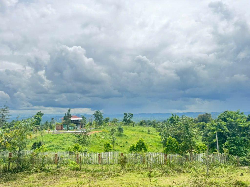 2ha tại phường Eakao, gần trung tâm, đường xá thuận tiện