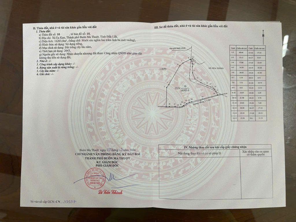 2ha tại phường Eakao, gần trung tâm, đường xá thuận tiện
