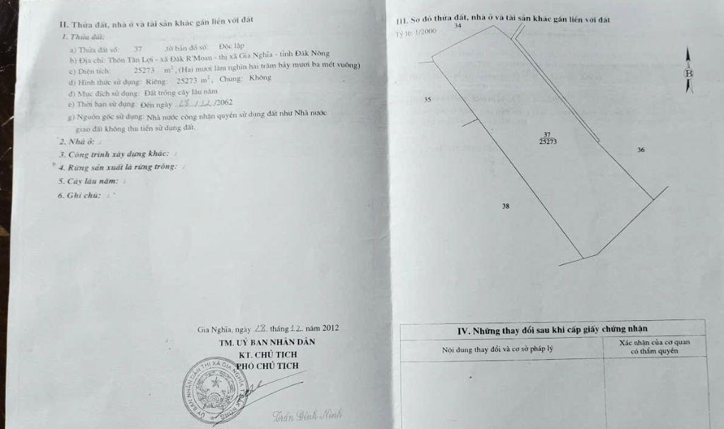 Rẫy 3ha cà phê bằng như sân bóng tại trung tâm Gia Nghĩa