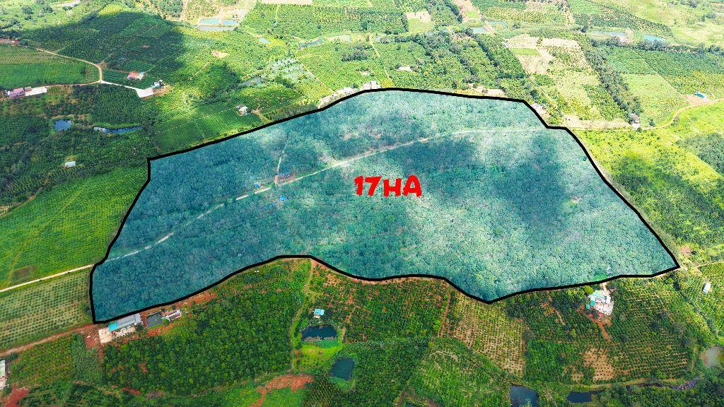 34ha sổ đủ ngay trung tâm Tuy Đức giá rẻ đường nhựa