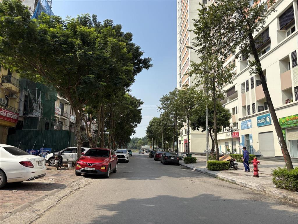 Chính chủ bán biệt thự song lập cận kề vin cổ loa, sở hữu vị trí siêu đẹp, trung tâm sầm uất
