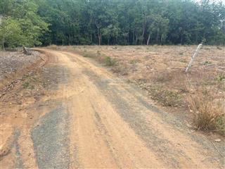 Bán gần 2500m2 đất tân hưng, hớn quản, bình phước, giá chỉ hơn 500tr,  0898 847 ***