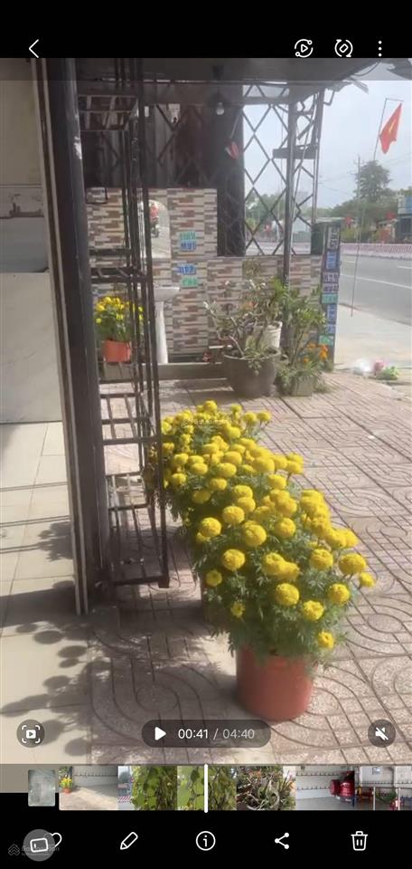 Bán nhà riêng tại ecolake, ql13, p. thới hòa, bến cát, bình dương, 7,5 tỷ, 327m², giá cực chất!