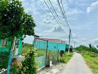 Chính chủ bán đất full thổ cư đường ô tô tại ấp 4  hoà phú châu thành  long an