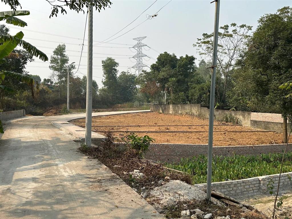 Bán đất đẹp tại xã đạo tú, tam dương, vĩnh phúc, hơn 800 triệu, 105m2